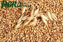 1agro.com.ua