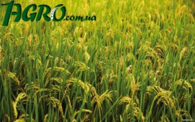 1agro.com.ua