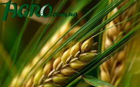 1agro.com.ua