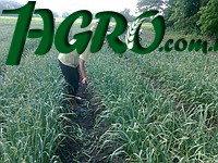 1agro.com.ua