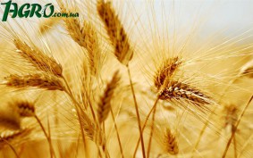 1agro.com.ua