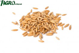 1agro.com.ua