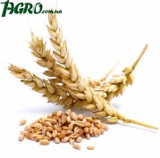 1agro.com.ua