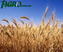 1agro.com.ua