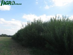 1agro.com.ua