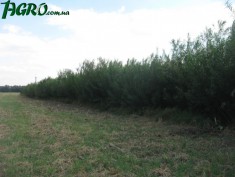 1agro.com.ua