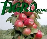 1agro.com.ua
