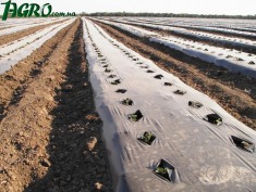 1agro.com.ua