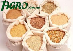 1agro.com.ua