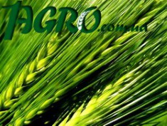 1agro.com.ua