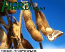 1agro.com.ua