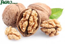 1agro.com.ua