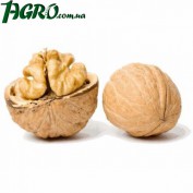 1agro.com.ua