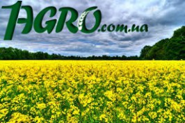 1agro.com.ua