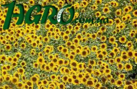 1agro.com.ua