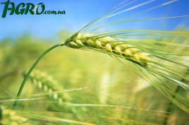 1agro.com.ua