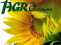 1agro.com.ua