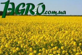 1agro.com.ua