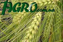1agro.com.ua