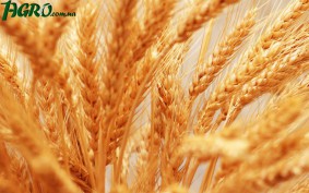 1agro.com.ua