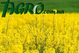 1agro.com.ua