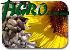 1agro.com.ua