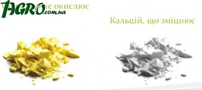 1agro.com.ua