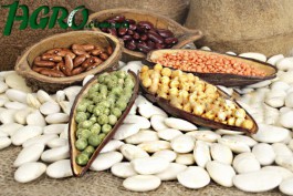 1agro.com.ua
