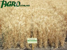 1agro.com.ua