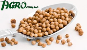 1agro.com.ua