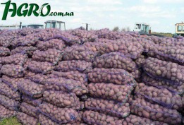 1agro.com.ua