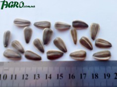 1agro.com.ua