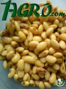 1agro.com.ua