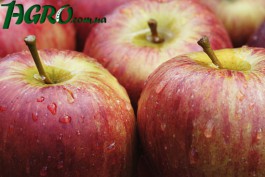 1agro.com.ua