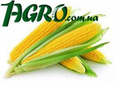 1agro.com.ua