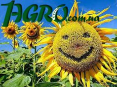 1agro.com.ua