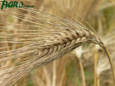 1agro.com.ua