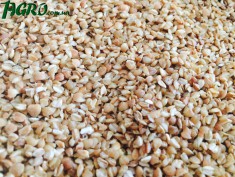 1agro.com.ua
