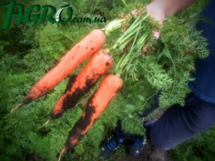 1agro.com.ua