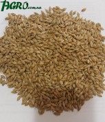 1agro.com.ua