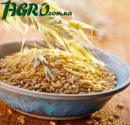 1agro.com.ua