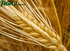 1agro.com.ua