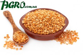 1agro.com.ua