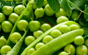 1agro.com.ua