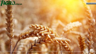 1agro.com.ua