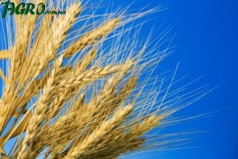 1agro.com.ua