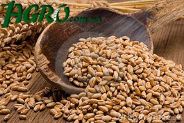 1agro.com.ua