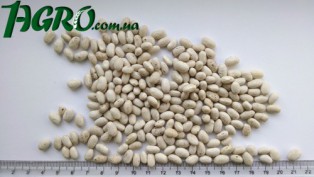 1agro.com.ua