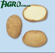 1agro.com.ua