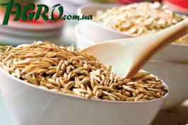 1agro.com.ua